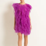 Temperament Thin Dress Women's Dress 2025 Spring New Sleeveless Wood Ear Folding Mesh Cake Skirt