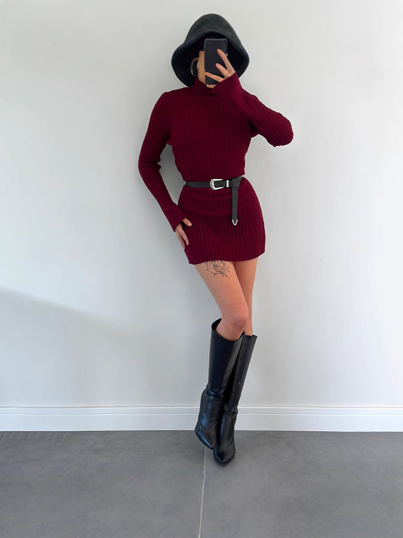 Fashion High-Collar Knitted Short-Form Hip Dress In Autumn 2024