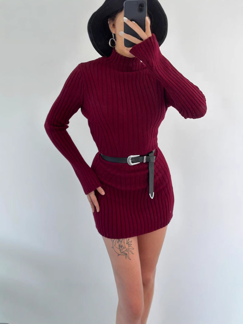 Fashion High-Collar Knitted Short-Form Hip Dress In Autumn 2024