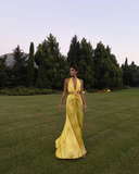 A line Halter Neckline Long Yellow Prom Dress Evening Dress Formal Dress SD2161