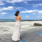 Beach Dress Seaside Resort Dress Skinny Fishtail Dress Sexy Bare Back Sling Lace Dress