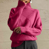 Turtleneck Long Sleeve Sweater DJPT