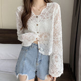 Women's 2024 New Summer Thin Loose Mesh Yarn Empty Hooded Lace Shawl Shawl Coat