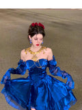 French High Low Sweetheart Christmas Dress Royal Blue Birthday Dresses Birthday Outfits SD1147