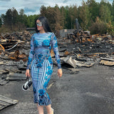 Rose-Print Striped Long-Sleeved Dress 2025 Summer New Temperament-Packed And Hip Dress Girl DJPT