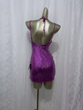Sheath Grape Sequin Travel Vacation Dress Short Birthday Dress SD0064