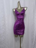 Sheath Grape Sequin Travel Vacation Dress Short Birthday Dress SD0064