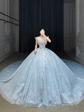 Ball Gown Strapless Neckline Sequin Light Sky Blue Long Wedding Dresses Brides Dress SD1656