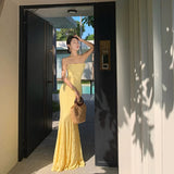 Mermaid Spaghetti Straps Long Lace Party Dresses Prom Dresses SD2461