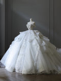 Ball Gown Off The Shoulder Neckline Tulle Sequin Wedding Dresses Bridal Dress SD2476 HZ0628