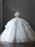 Ball Gown Off The Shoulder Neckline Tulle Sequin Wedding Dresses Bridal Dress SD2476