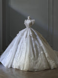 Ball Gown Off The Shoulder Neckline Tulle Sequin Wedding Dresses Bridal Dress SD2479 HZ0628