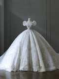 Ball Gown Off The Shoulder Short Sleeves Tulle Sequin Wedding Dresses Bridal Dress SD2480