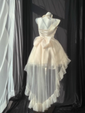 Ball Gown Spaghetti Straps Ivory Homecoming Dresses Birthday Outfits SD528