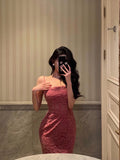 Sheath Spaghetti Straps Pink Sleeveless Lace Prom Dresses Birthday Outfits SD735