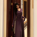 Sheath V Neckline Grape Long Prom Dresses Birthday Outfits Evening Gown SD980