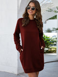 Lane Round Neck Long Sleeve Mini Dress with Pockets DJPT
